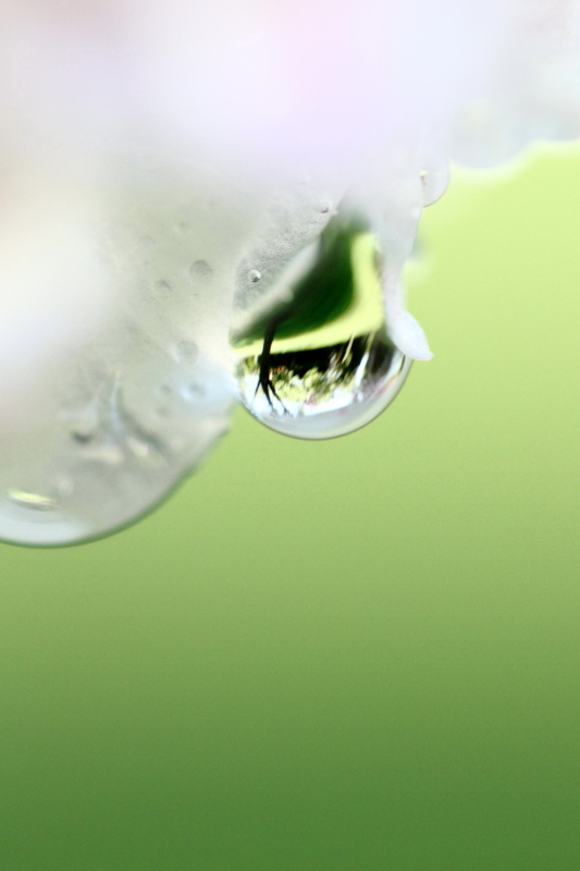 Goutte d'eau en suspension