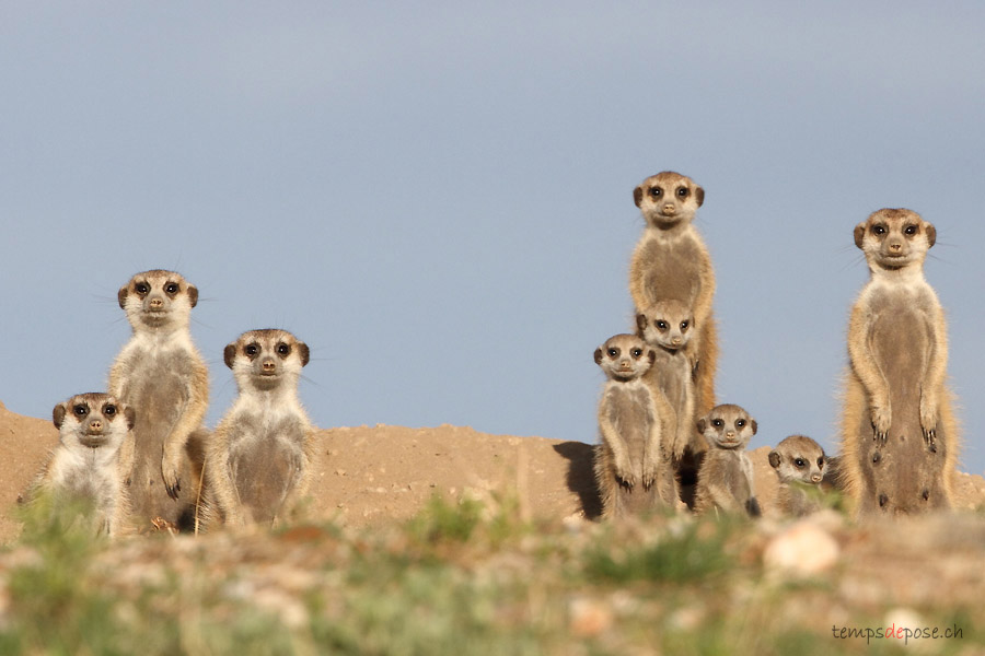 Portrait de famille